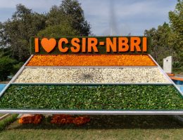 CSIR Technician Recruitment
