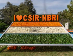 CSIR Technician Recruitment