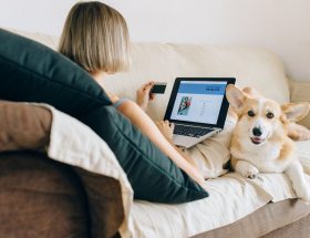 UPSSSC PET Admit Card 2026